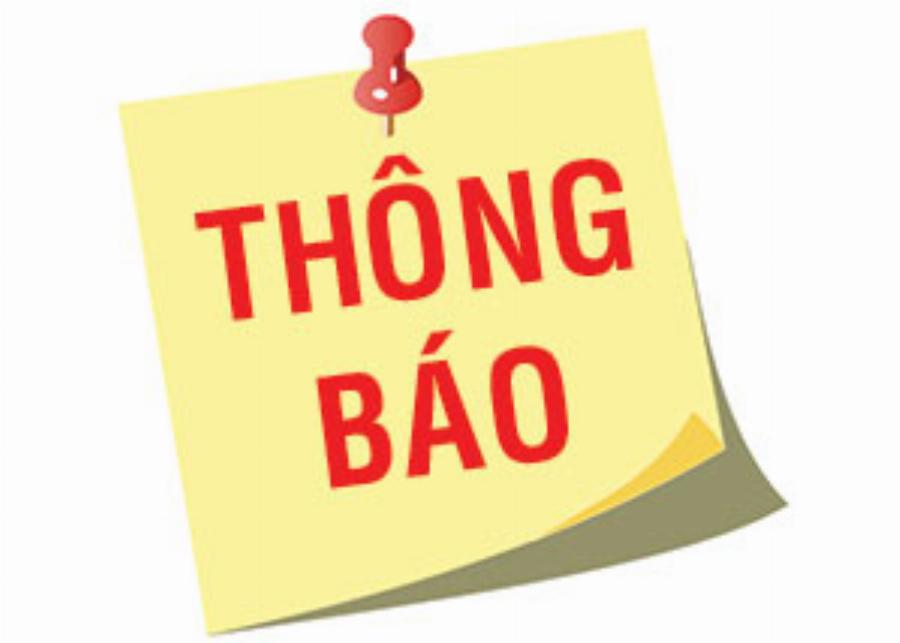 Bình Trọng trong dự án mới