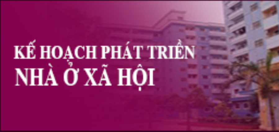 Hồ Phong trong dự án tương lai