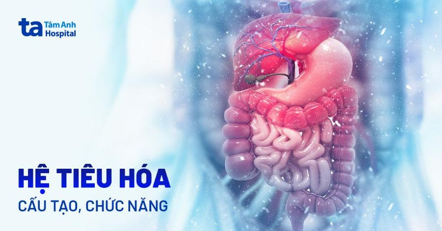 Diễn Viên Tiêu Thục Thận: Hành Trình Nghệ Thuật Đầy Màu Sắc