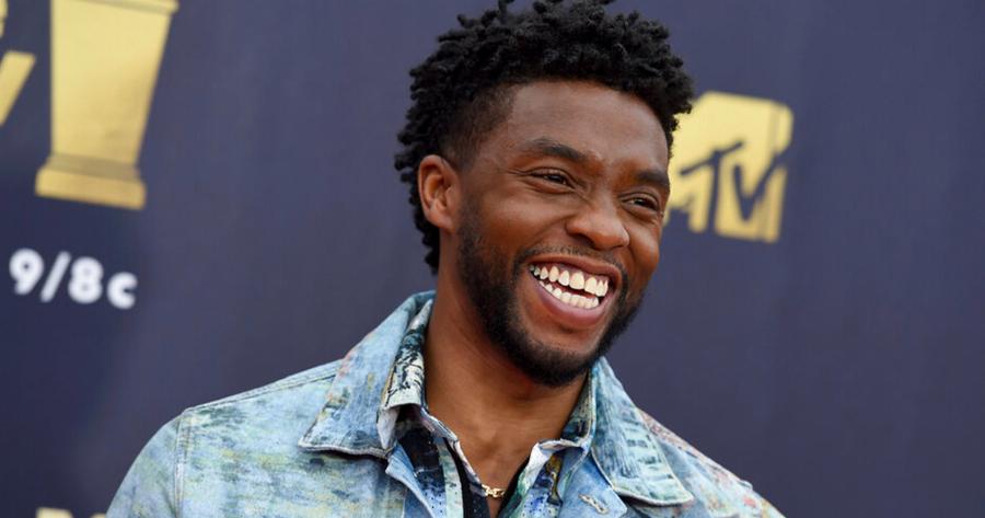 Chadwick Boseman trong vai Black Panther