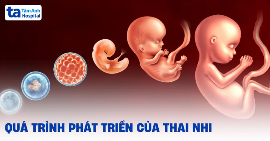 Hành trình trưởng thành của diễn viên nhí: Từ ngày bé đến hiện tại