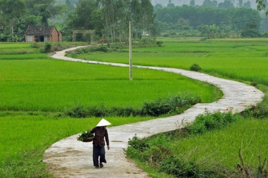 Gia Đình Diễn Viên Trí Quang: Hành Trình Nghệ Thuật Và Những Điều Ít Biết